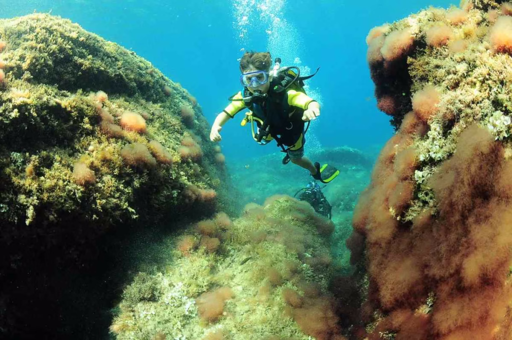 PADI Open water course for kids